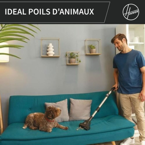 Utsug Hoover HP321PAF Gr� 850 W