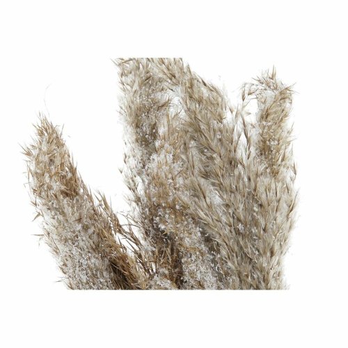 Dekorativ vxt DKD Home Decor PVC Fjdrar Naturell 35 x 25 x 55