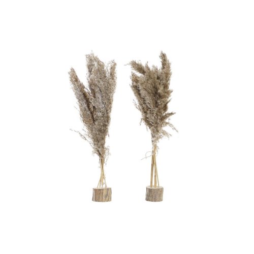 Dekorativ vxt DKD Home Decor PVC Fjdrar Naturell 35 x 25 x 55