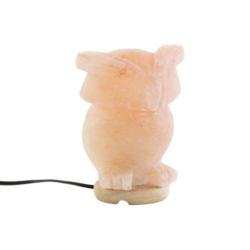 Bordslampa DKD Home Decor Rosa Salt Akaciatr 15 W 220 V 14 x 14