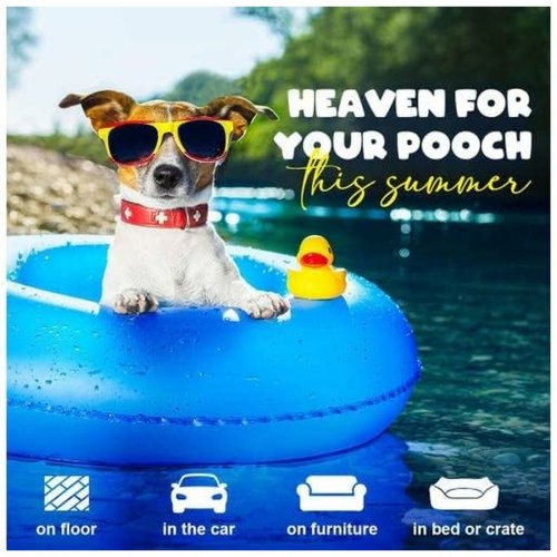 Kylmatta fr husdjur Mascow Orange (Renoverade B)