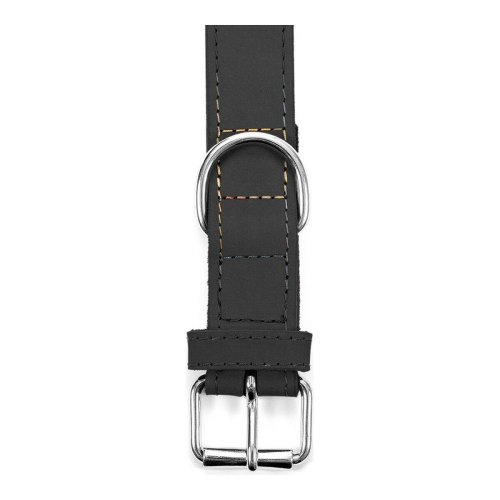 Hundhalsband Gloria Oasis Svart (65 x 3 cm)