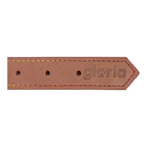 Hundhalsband Gloria Oasis Brun (60 x 3 cm)