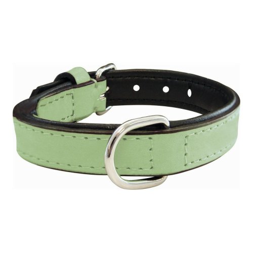 Hundhalsband Gloria Vadderad Grn (55 x 2,5 cm)