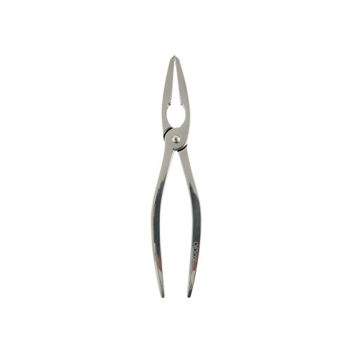Skaldjurstng Koala Eco Friendly Stl Metall 20 x 4 x 1 cm