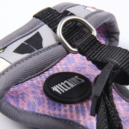 Hundsele Disney XXS/XS Gr