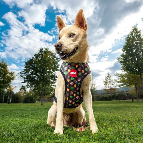 Hundsele Marvel M/L Rd