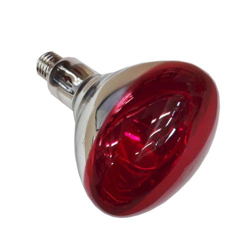 Infrard gldlampa Philips 923212043801 250 W E27