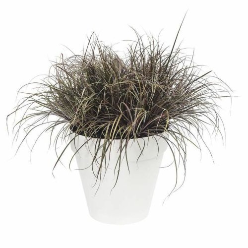Kruka Elho   Vit  50 x 44 cm