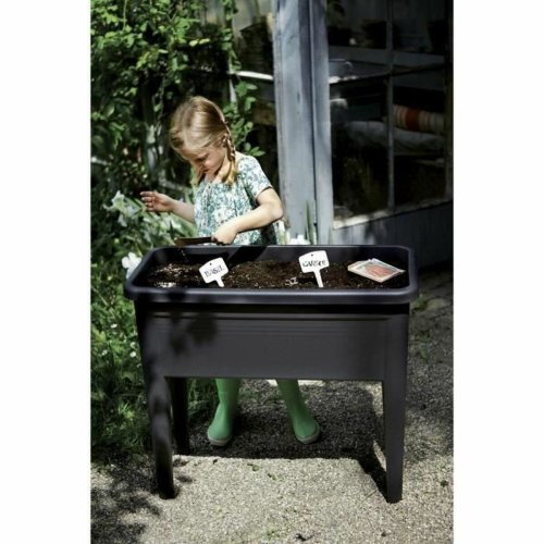 Stdpinne fr plantering Elho Green Basics XXL Svart Plast 75 cm