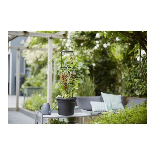 Kruka Elho Basics Tomato Svart ( 33 cm)