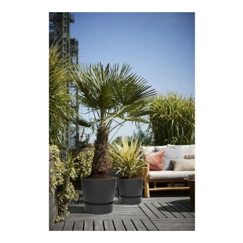 Kruka Elho Greenville Svart Plast Rund  30 cm  29,5 x 27,8 cm