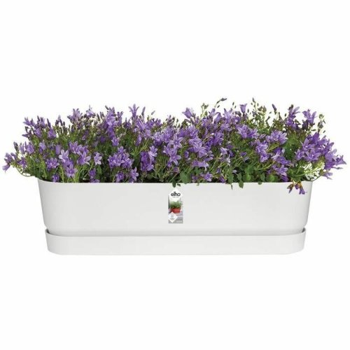 Blomlda Elho   Vit 70 cm Plast