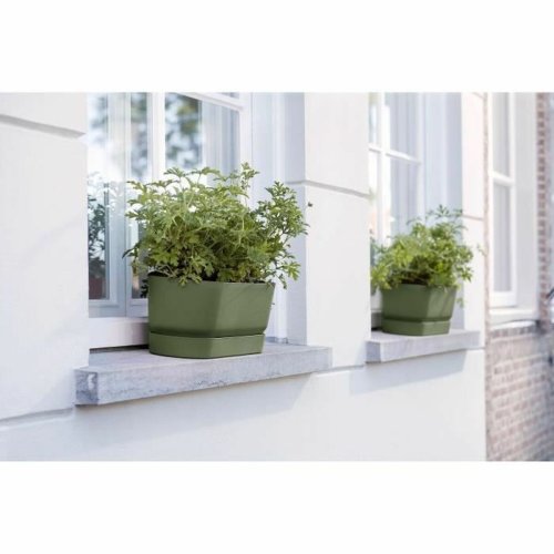 Blomlda Elho   50 cm Svart Plast