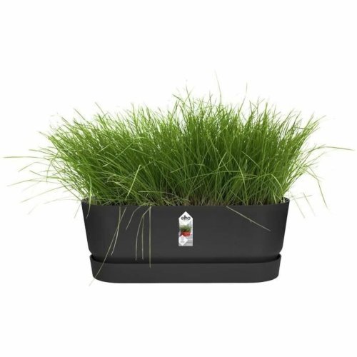 Blomlda Elho   Svart 50 cm Plast Oval