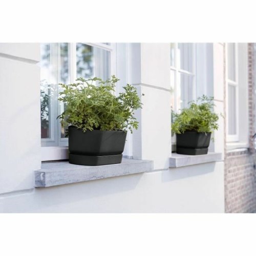 Blomlda Elho   Svart 50 cm Plast Oval