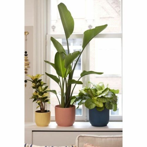 Kruka Elho Rosa Plast Rund Modern  25 cm