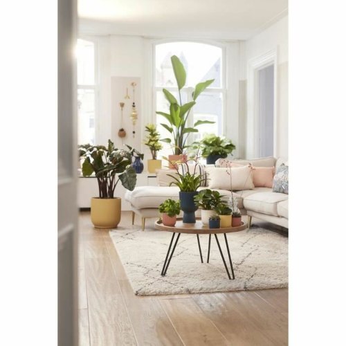 Kruka Elho    25 cm Rund Vit Plast