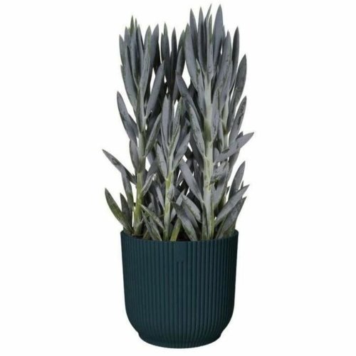 Kruka Elho   Plast Rund  28,5 cm