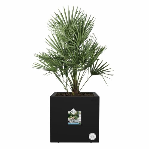 Kruka Elho Svart  29 cm Plast Fyrkantig Modern