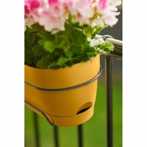 Blomlda Elho   50 cm Plast
