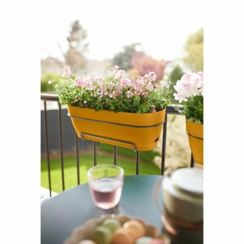 Blomlda Elho   50 cm Plast