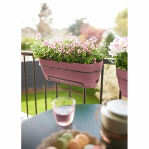 Blomlda Elho   70 cm Rosa Plast