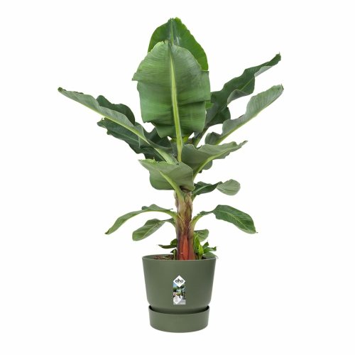 Kruka Elho Grn  55 cm Plast