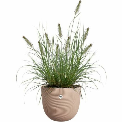 Kruka Elho Brun 30 x 29,5 x 25 cm