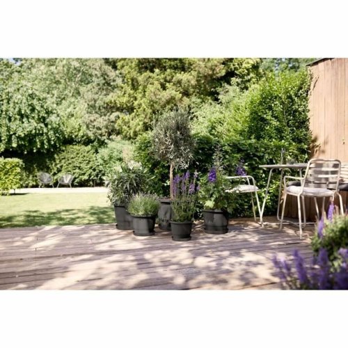 Kruka Elho Amiga Round 40 Svart Antracitgr 39 x 29 cm