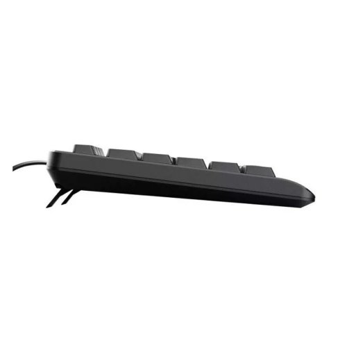 Tangentbord Trust 24639 Svart Engelska EEUU QWERTY