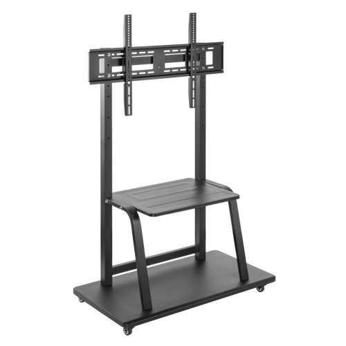 Std GEMBIRD 37" 100"