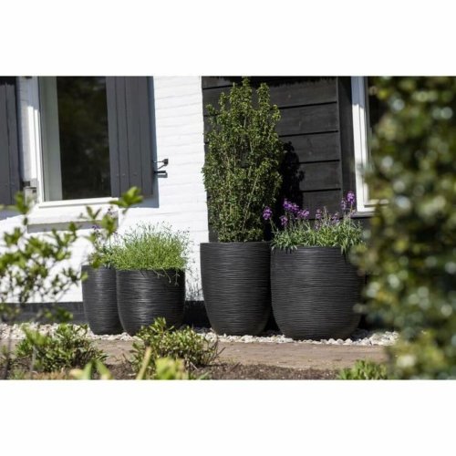 Kruka Capi Europe Svart Plast  35 cm 35 x 35 x 34 cm
