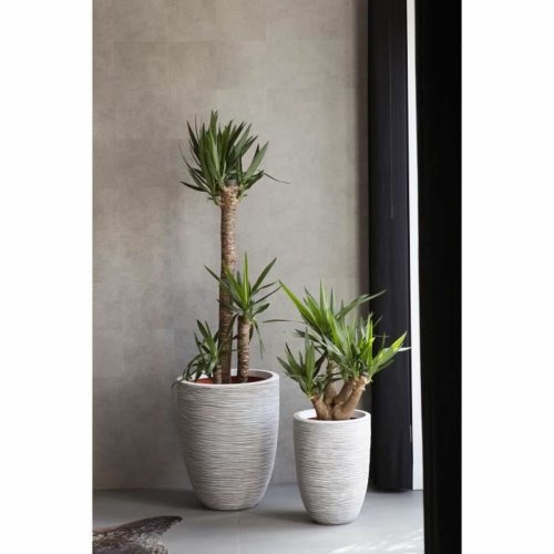 Kruka Capi Europe Elfenben Plast Rund