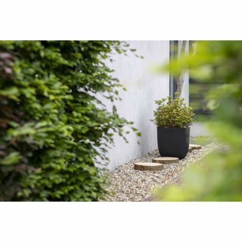 Kruka Capi Europe Svart Plast  43 cm