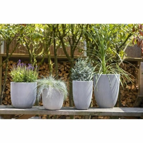 Kruka Capi Europe Beige Plast Rund  43 cm
