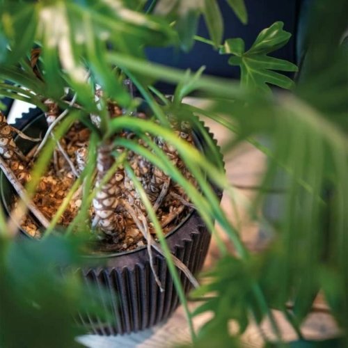 Kruka Capi Europe Svart Plast Rund