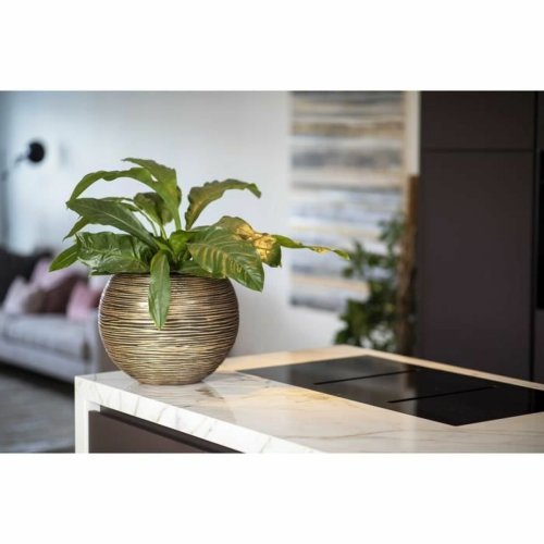 Kruka Capi Europe Gyllene Plast Rund  40 cm