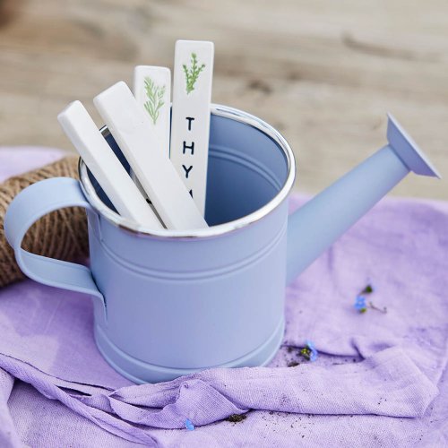 Dekorativ vattenkanna Decoris Blandade frger Zink