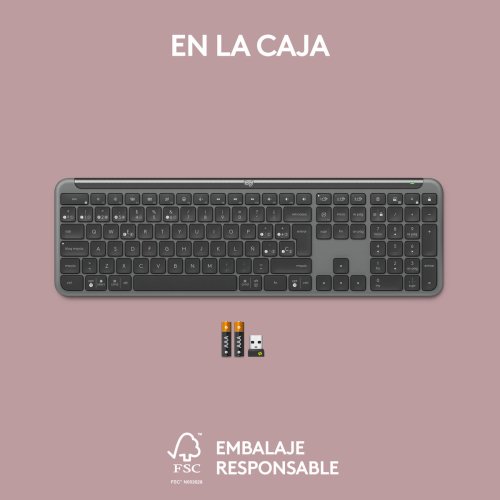 Trdlst Tangentbord Logitech 920-012455 Grafit QWERTY