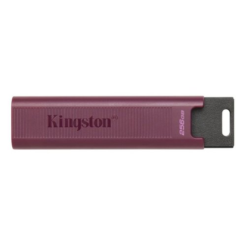 USB-minne Kingston DTMAXA/256GB 256 GB