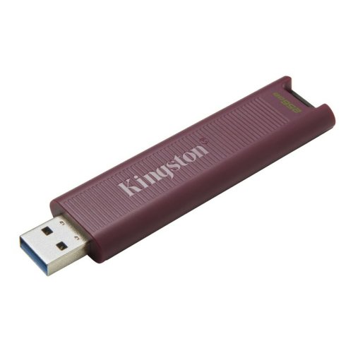 USB-minne Kingston DTMAXA/256GB 256 GB