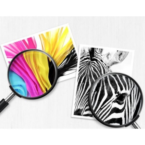 Original Blckpatron HP Cartucho de tinta original HP 950 negro
