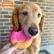 Hundleksak Nylabone Rosa Bacon L