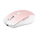 Mus T'NB GRADIENT Rosa
