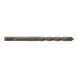 Axel Wolfcraft SDS Plus  12 x 160 mm Cement