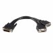 DMS-59 till VGA Kabel Startech DMSVGAVGA1           Svart 0,2 m