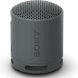 Brbar Bluetooth Hgtalare Sony XB100 Svart