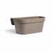 Sj�lvvattnande planter Garden ID Beige-brun (taupe)