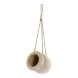Kruka DKD Home Decor Brun Snre Paulowniatr (16 x 16 x 53 cm)